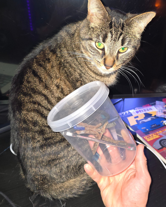 Hardbody Junk Jar (LIMITED)