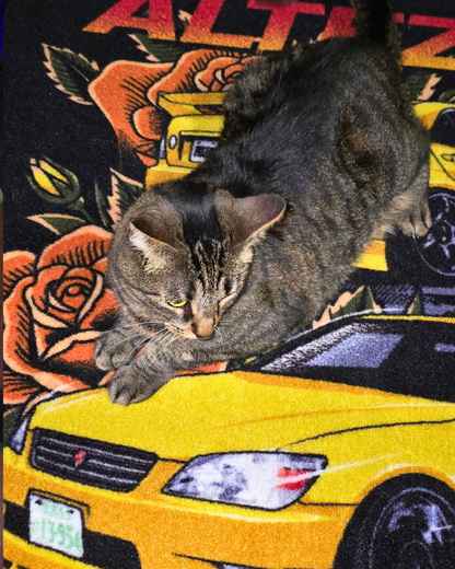 Altezza! Take Control Rug